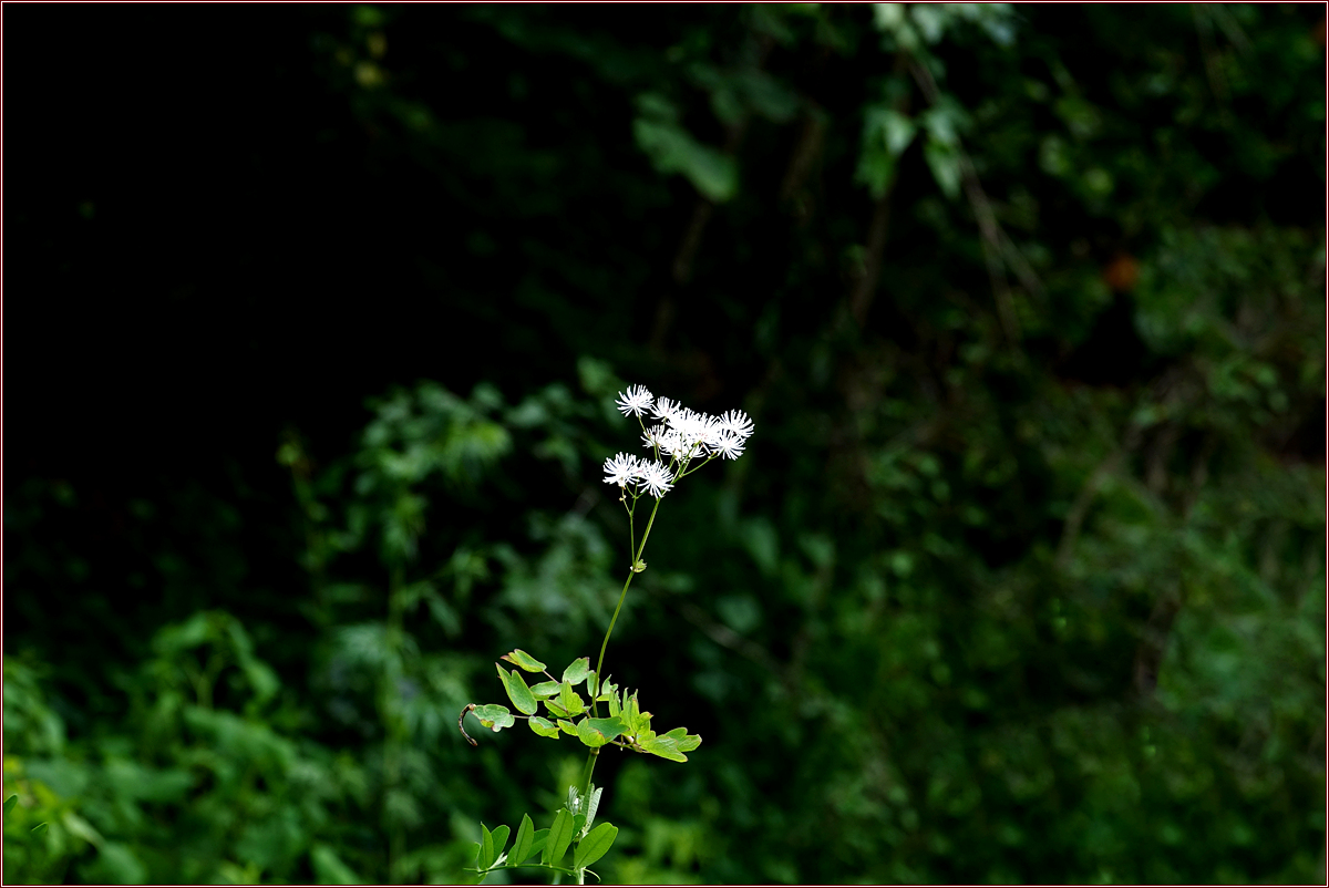 KHS02343.jpg