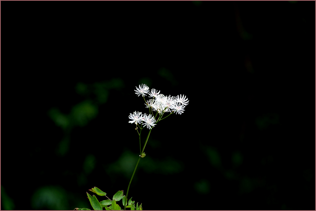 KHS02345.jpg
