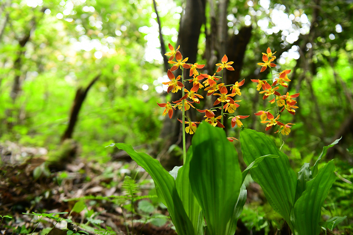 DSC_5329sss.jpg