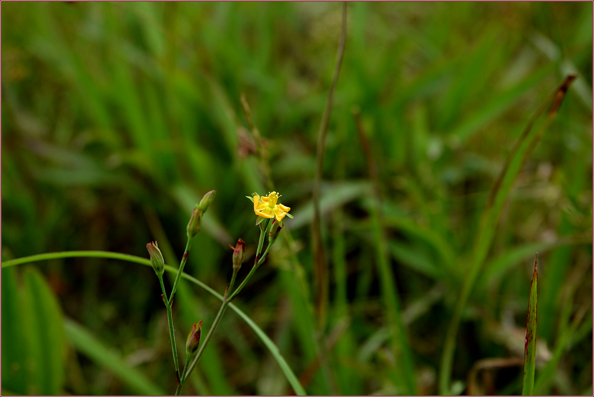 KHS05632.jpg