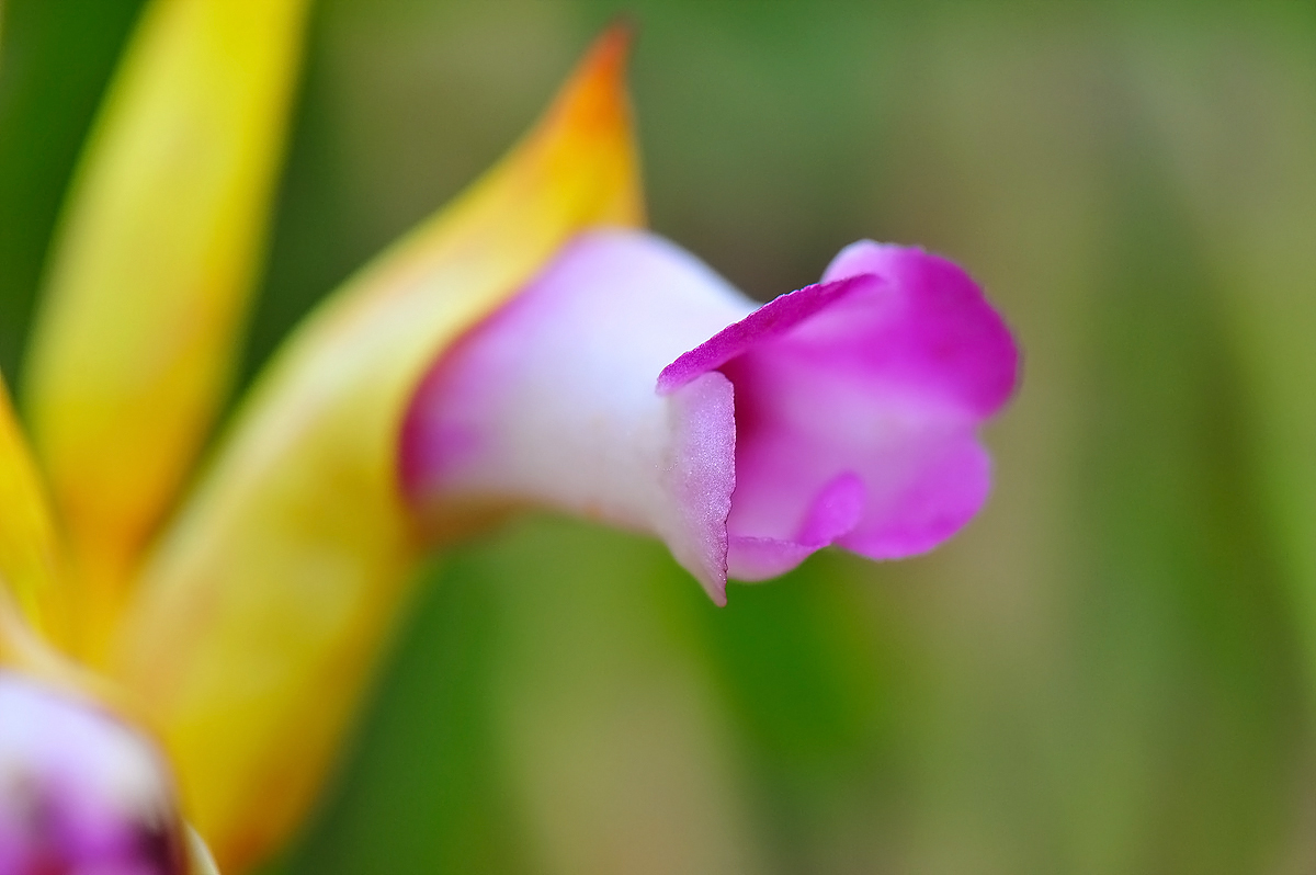 DSC_5378s.jpg