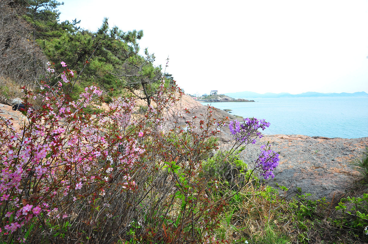 DSC_4610ss.jpg