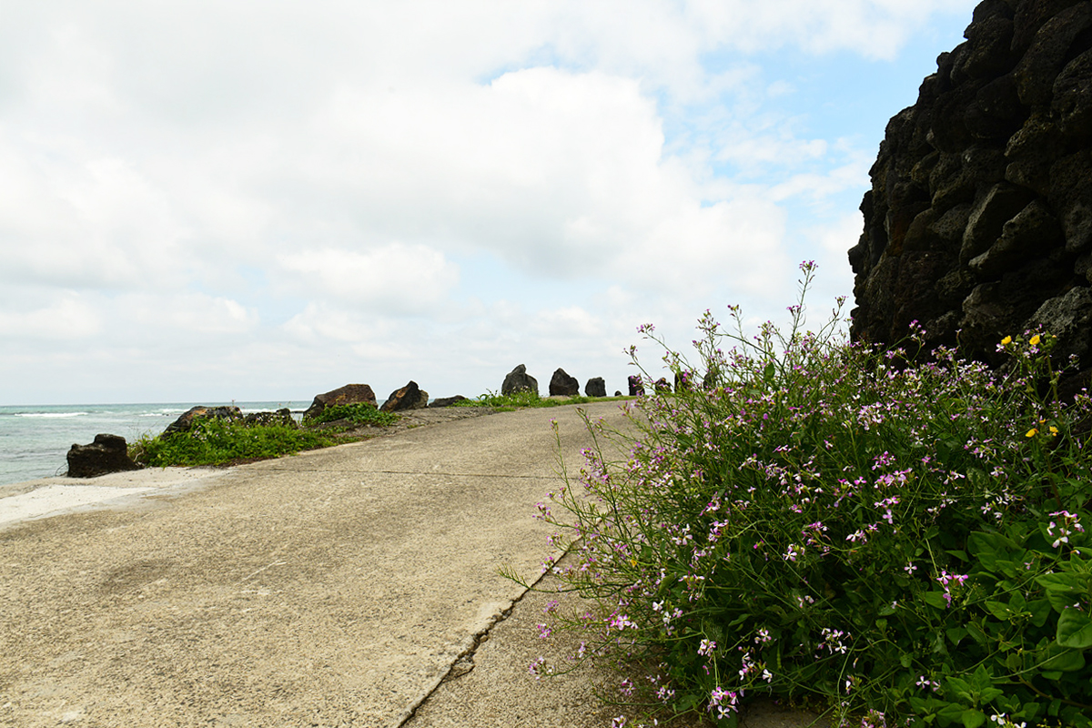 DSC_5732aaa.jpg