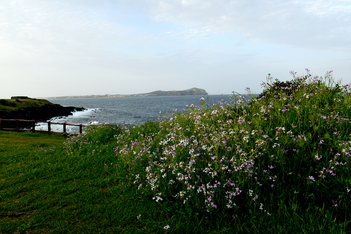 DSC_5592sss.jpg