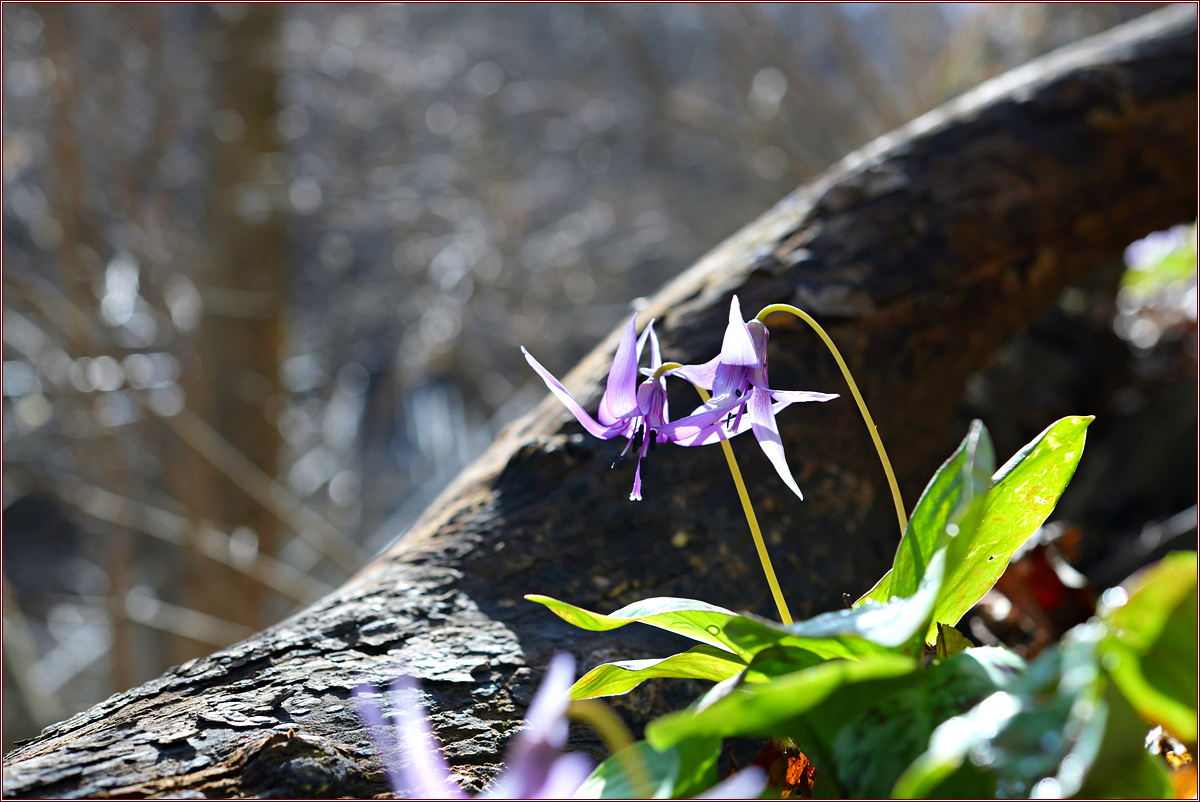DSC_9196.jpg