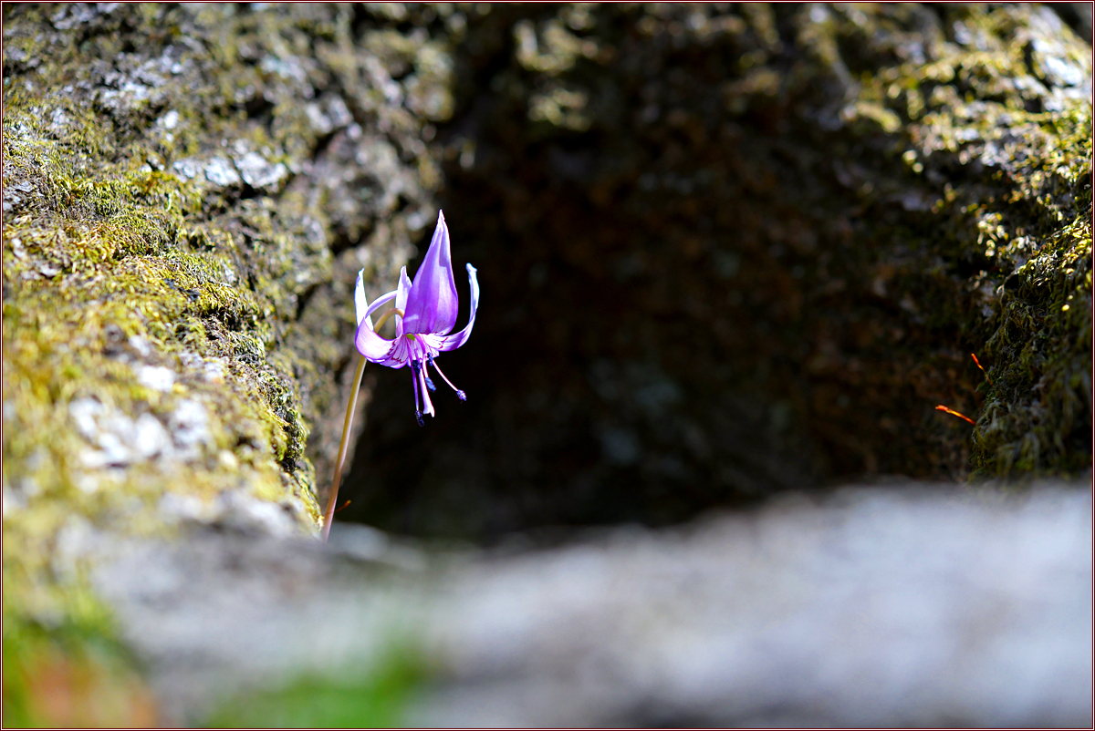 DSC_9222.jpg