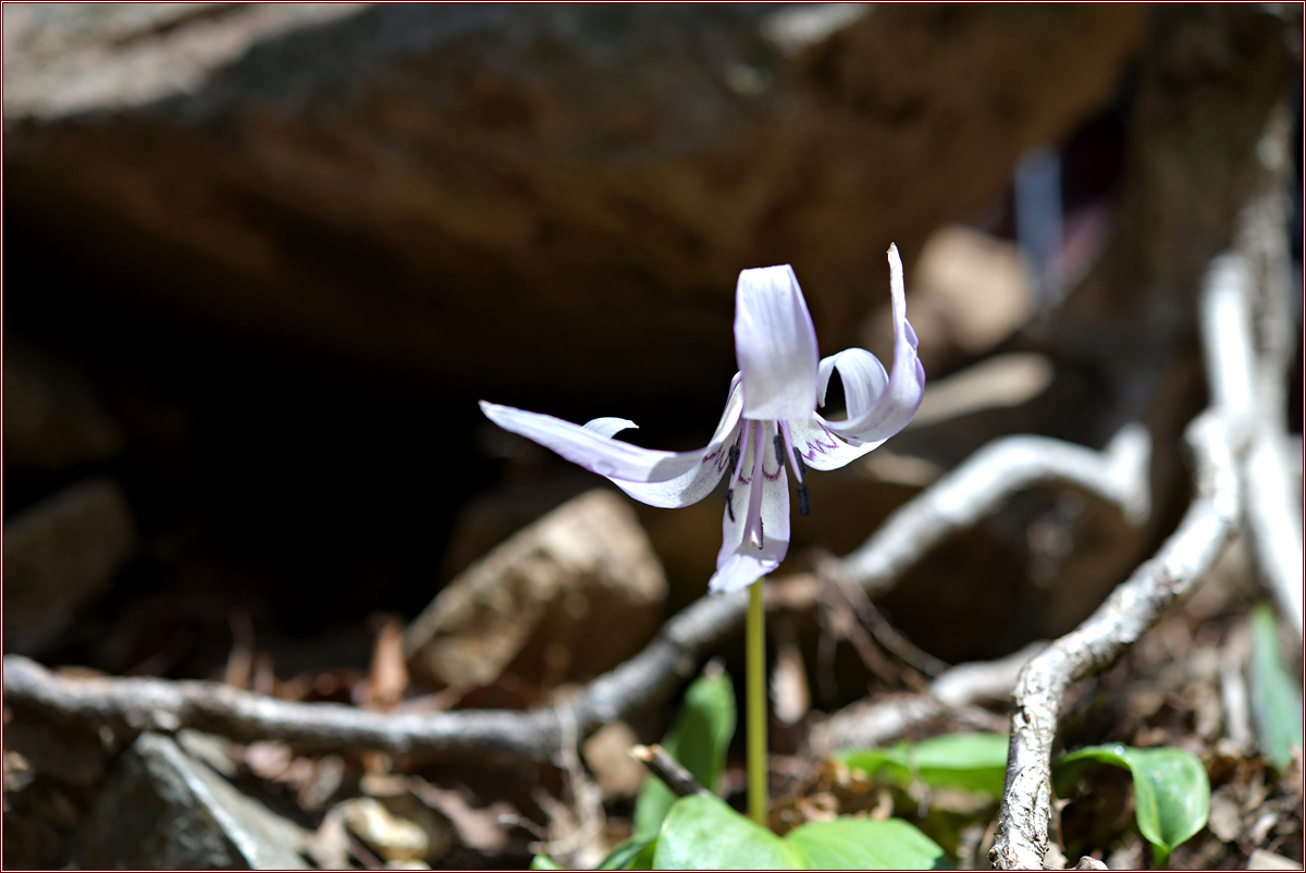 DSC_9219.jpg