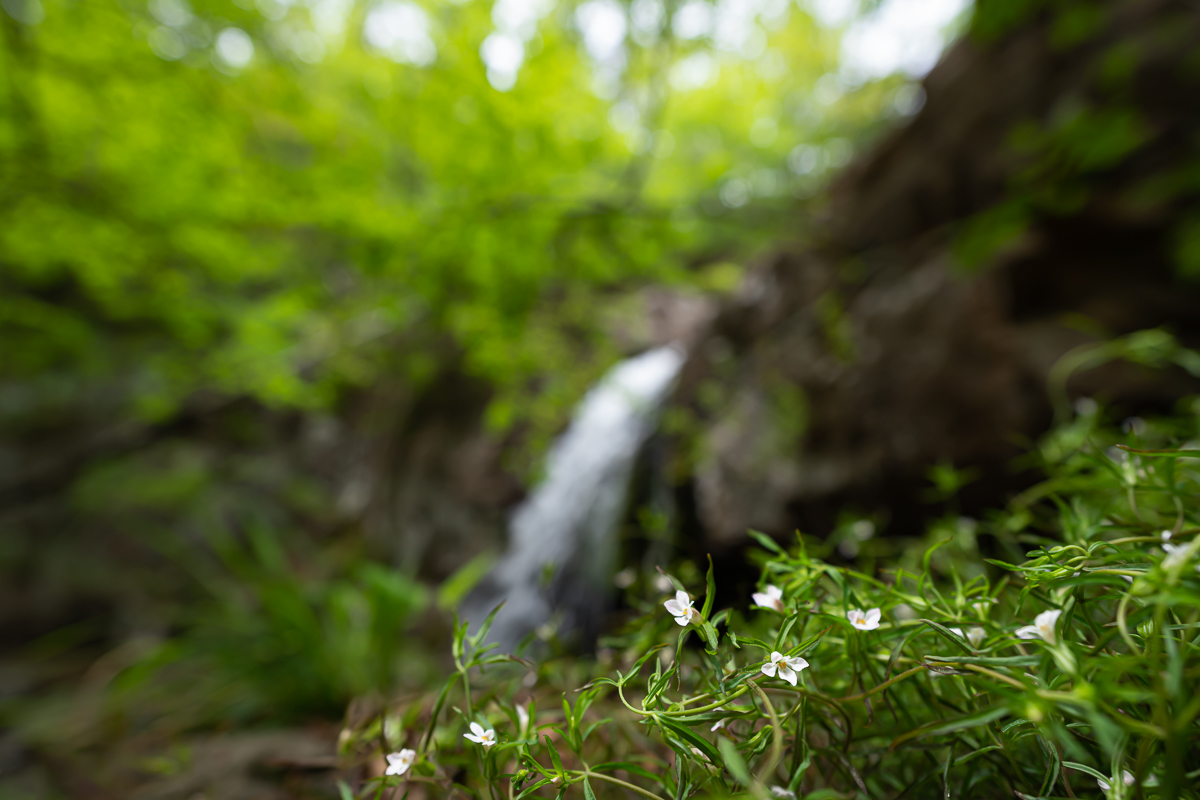 DSC_3178.jpg