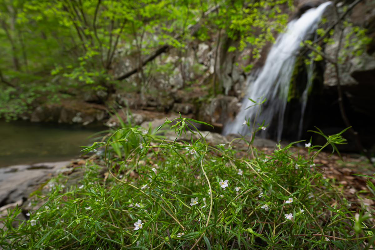 DSC_3096.jpg