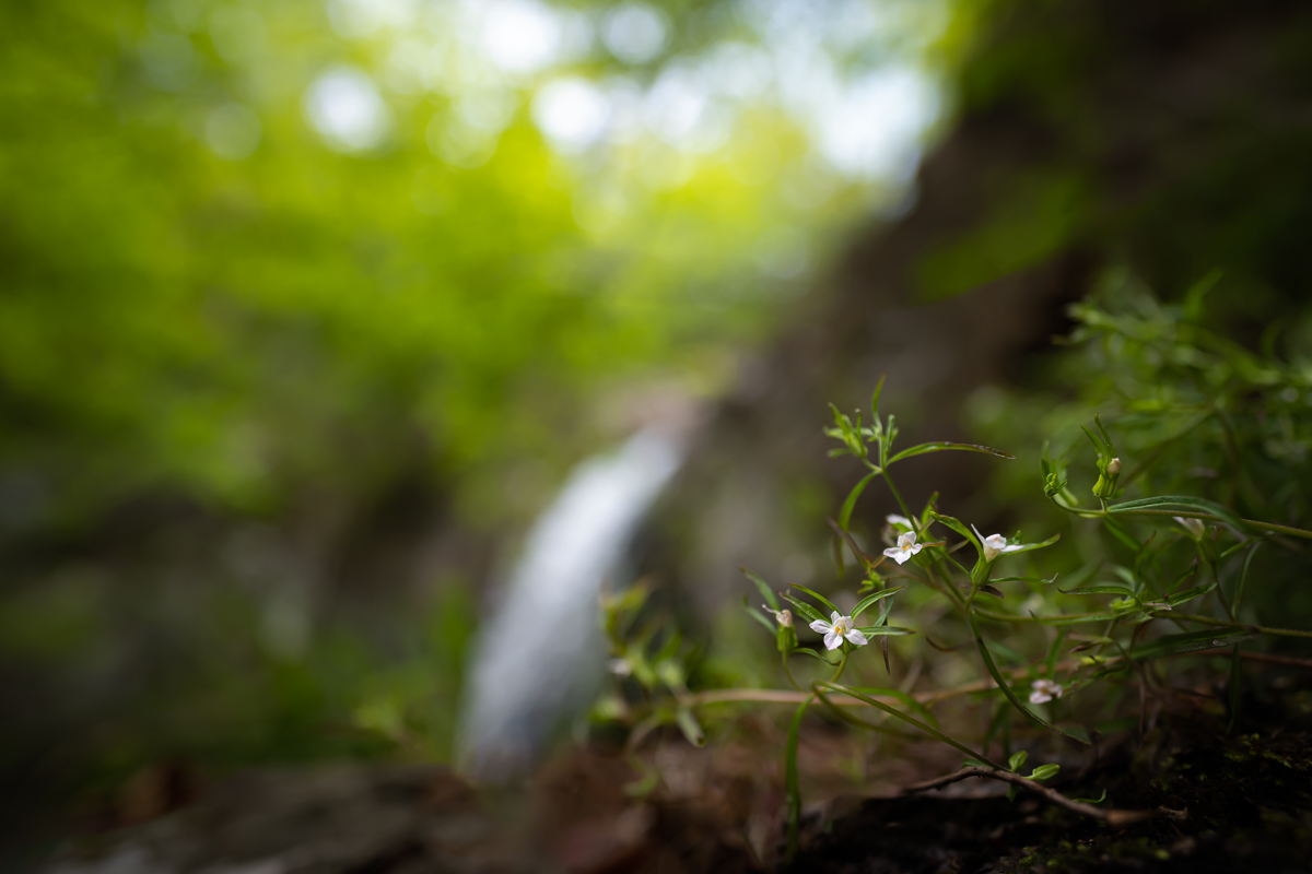 DSC_3124.jpg