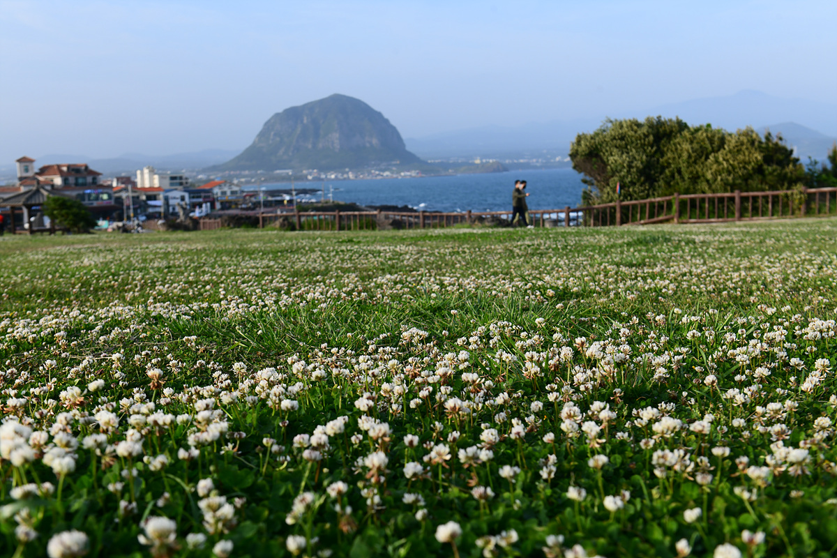 DSC_5025.jpg
