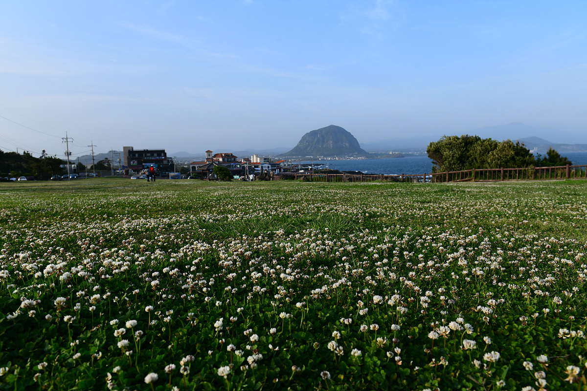DSC_5022aaa.jpg