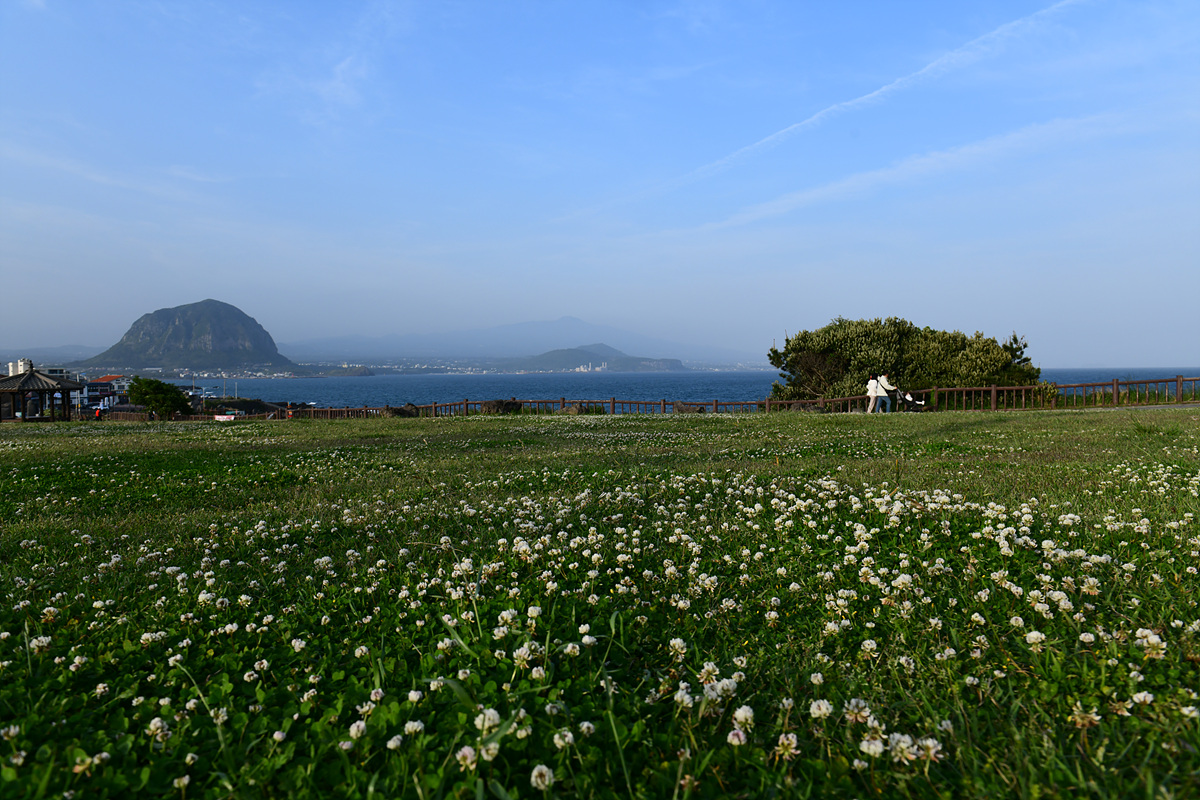 DSC_5028.jpg
