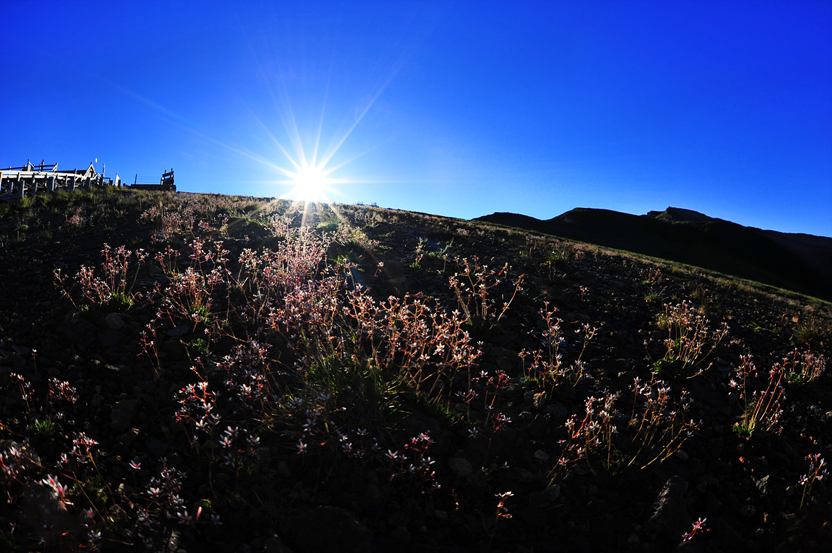 DSC_4497aaa.jpg