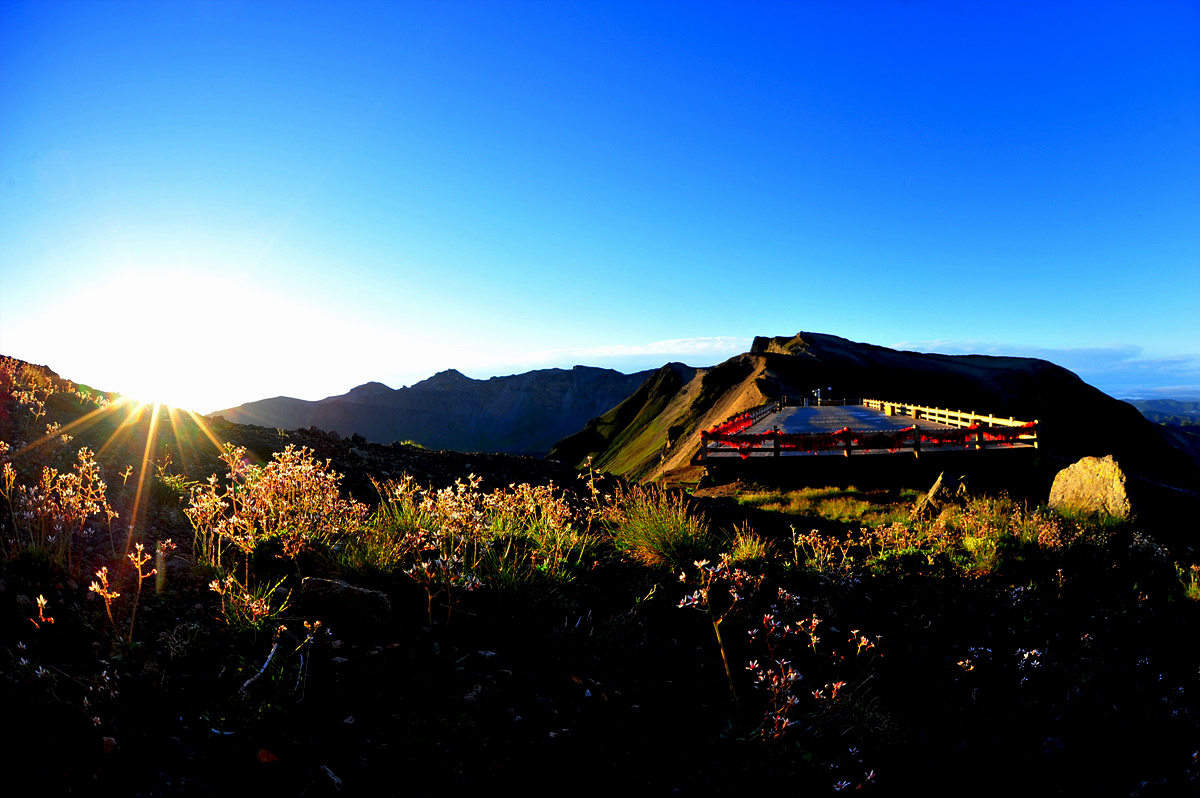 DSC_4259a.jpg