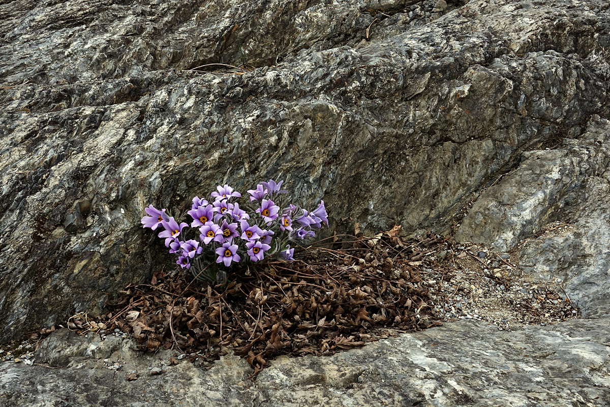 22-04-01 (260)-1.JPG