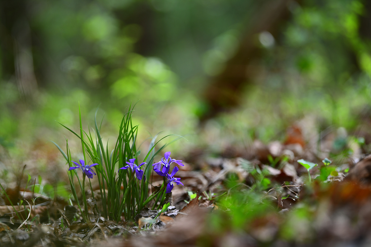 DSC_3910.jpg