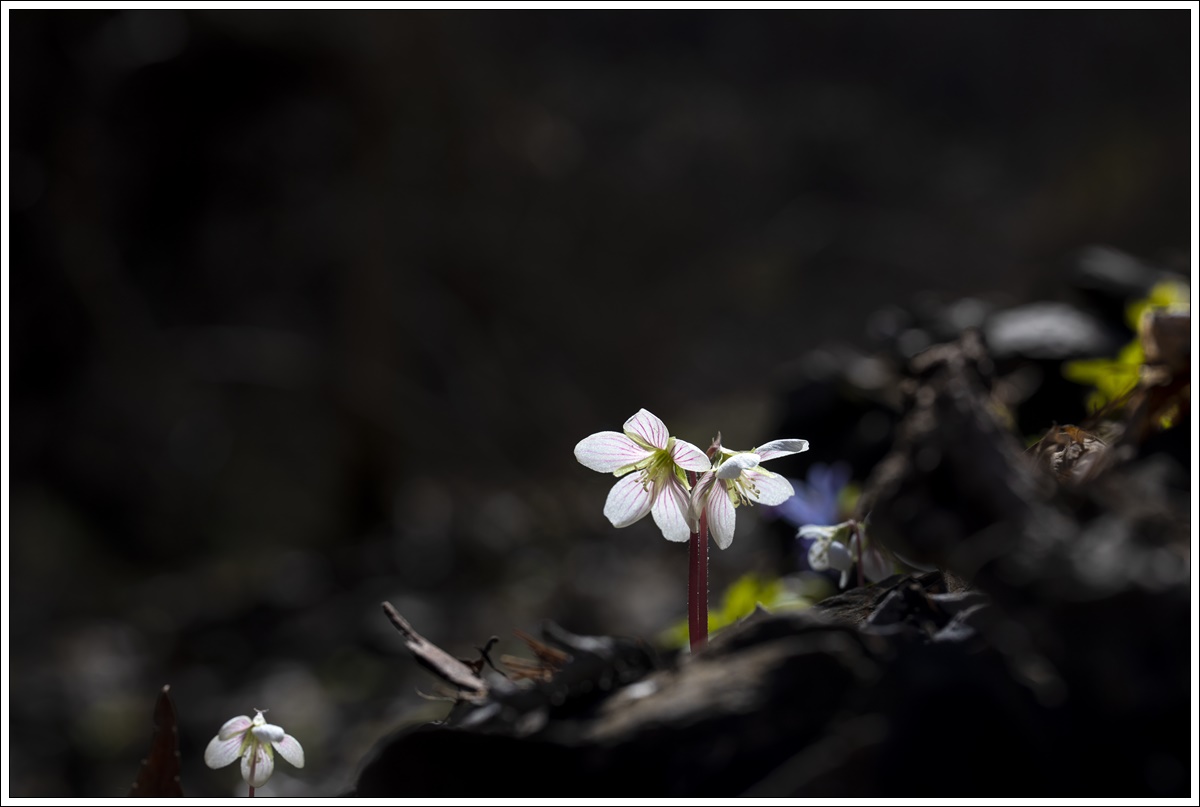 0L3A0325-12.jpg