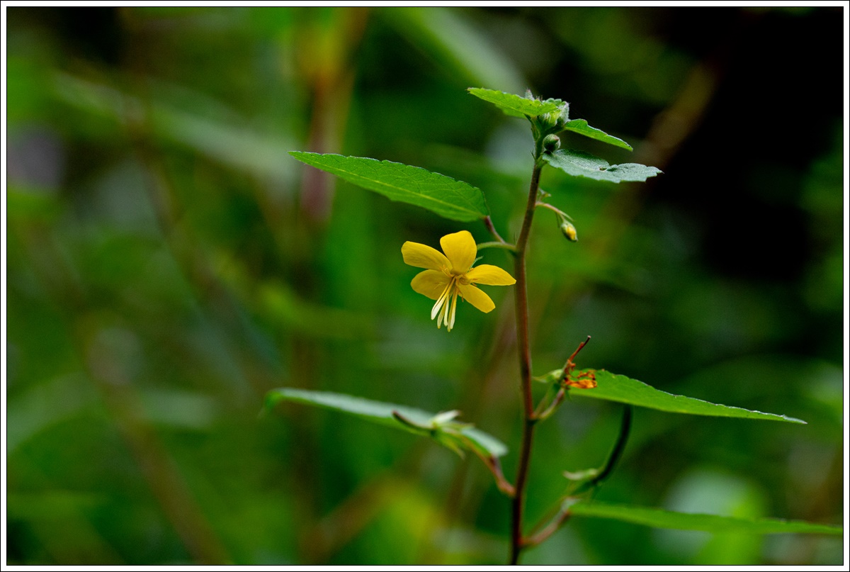 0L3A0909.jpg