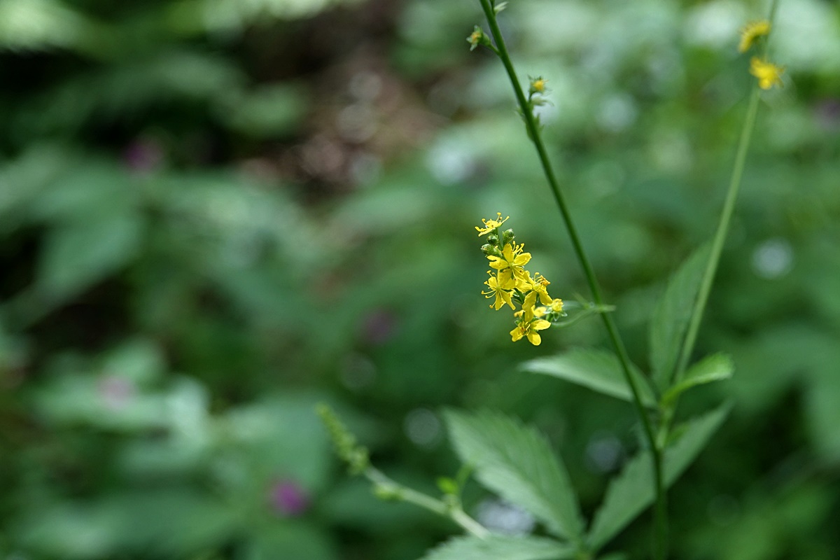 24-07-22 (158)-1.JPG