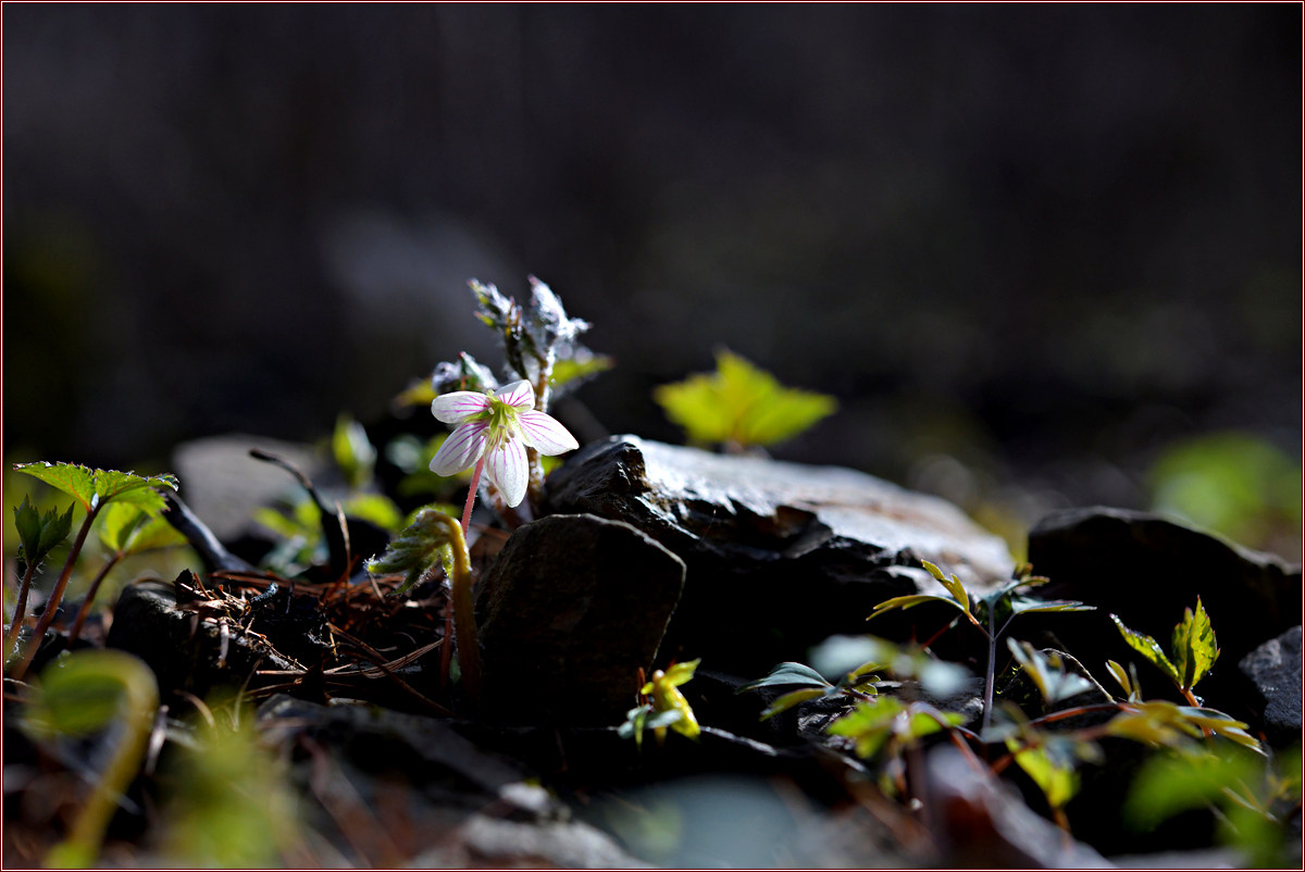 DSC_9259.jpg