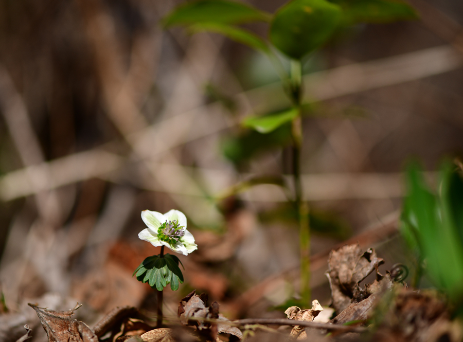 KJK_0259-1.jpg