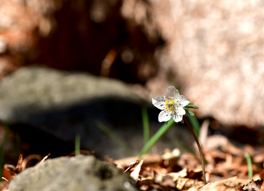 KJK_0030-1.jpg