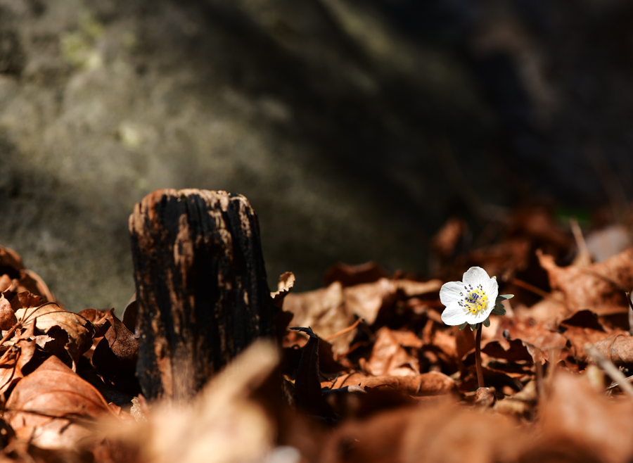 KJK_0214-1.jpg