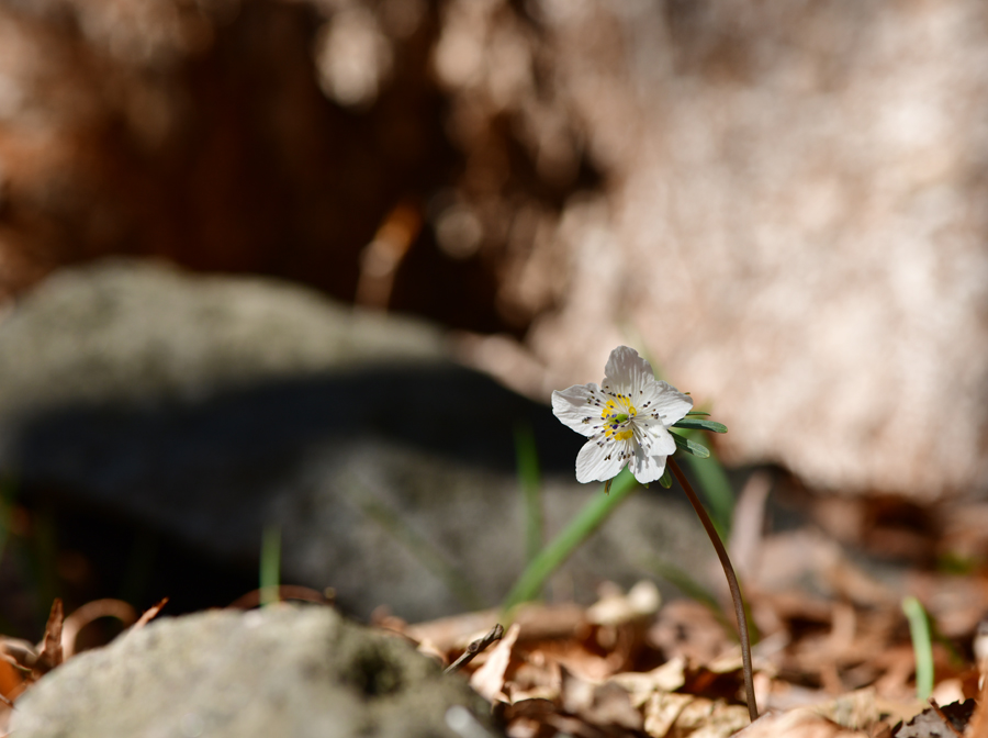 KJK_0033-1.jpg