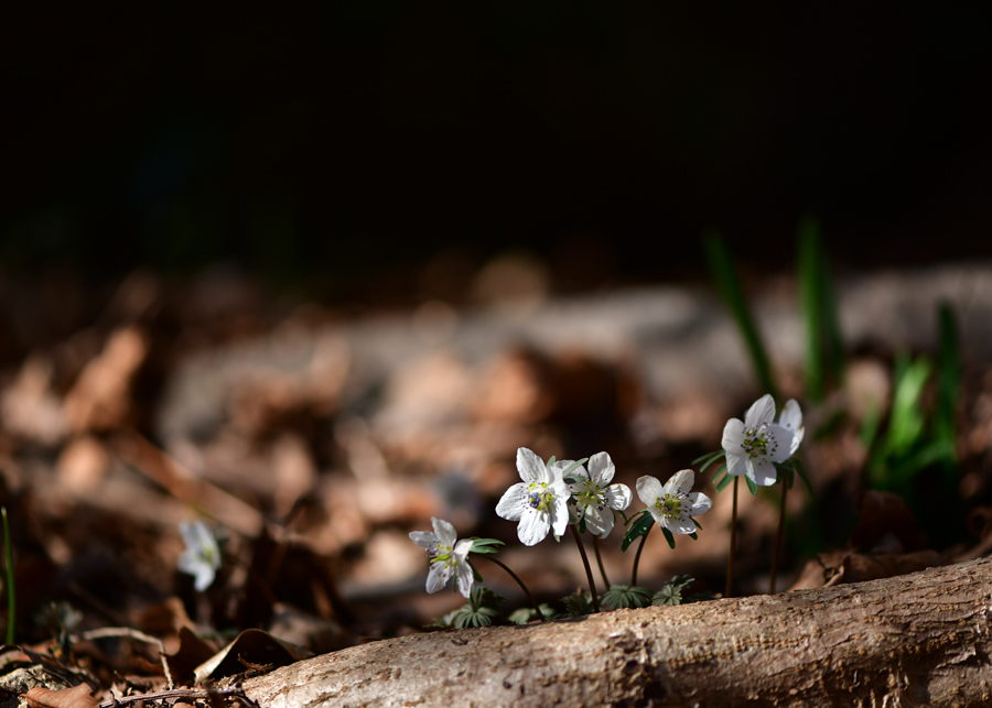 KJK_0153-1.jpg