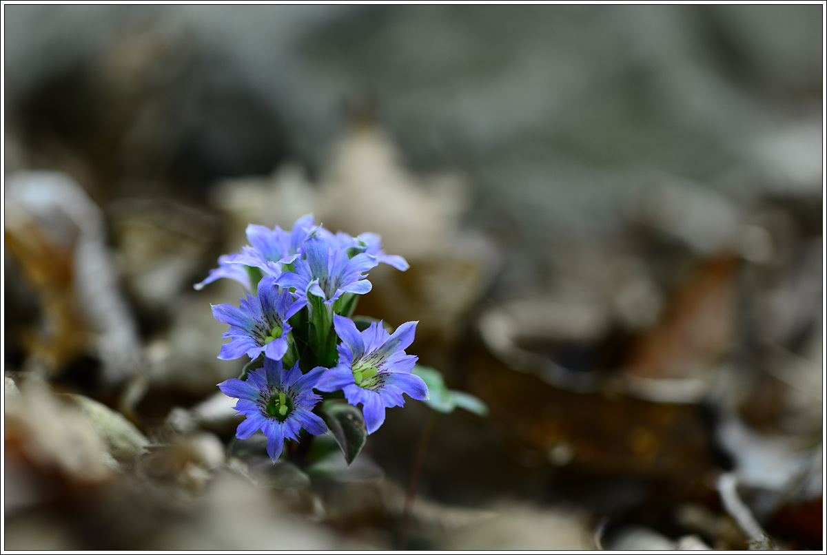 CJH_9195 완.jpg
