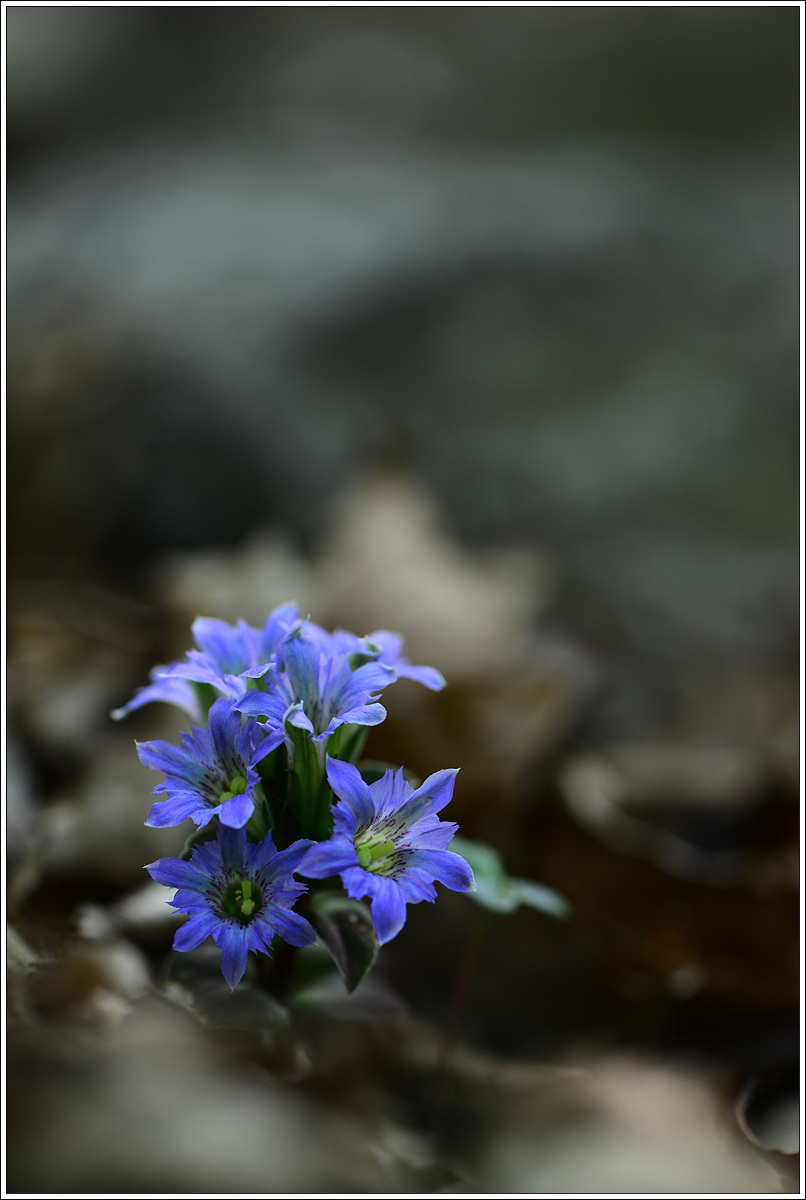 CJH_9197 완.jpg
