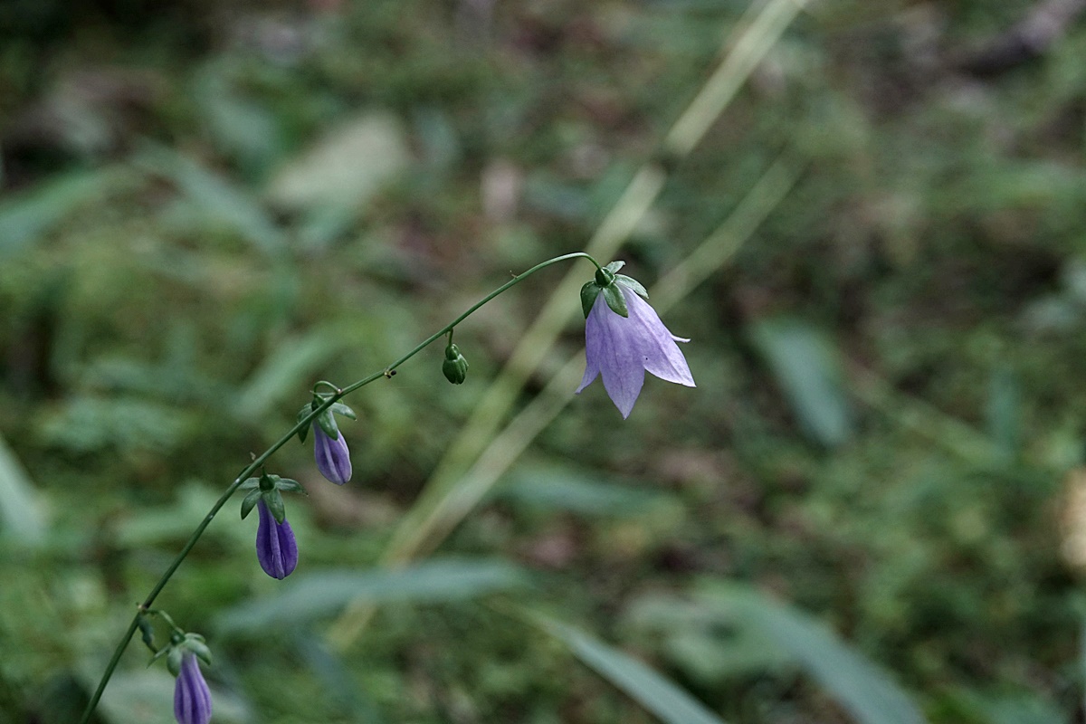 24-07-22 (393)-1.JPG