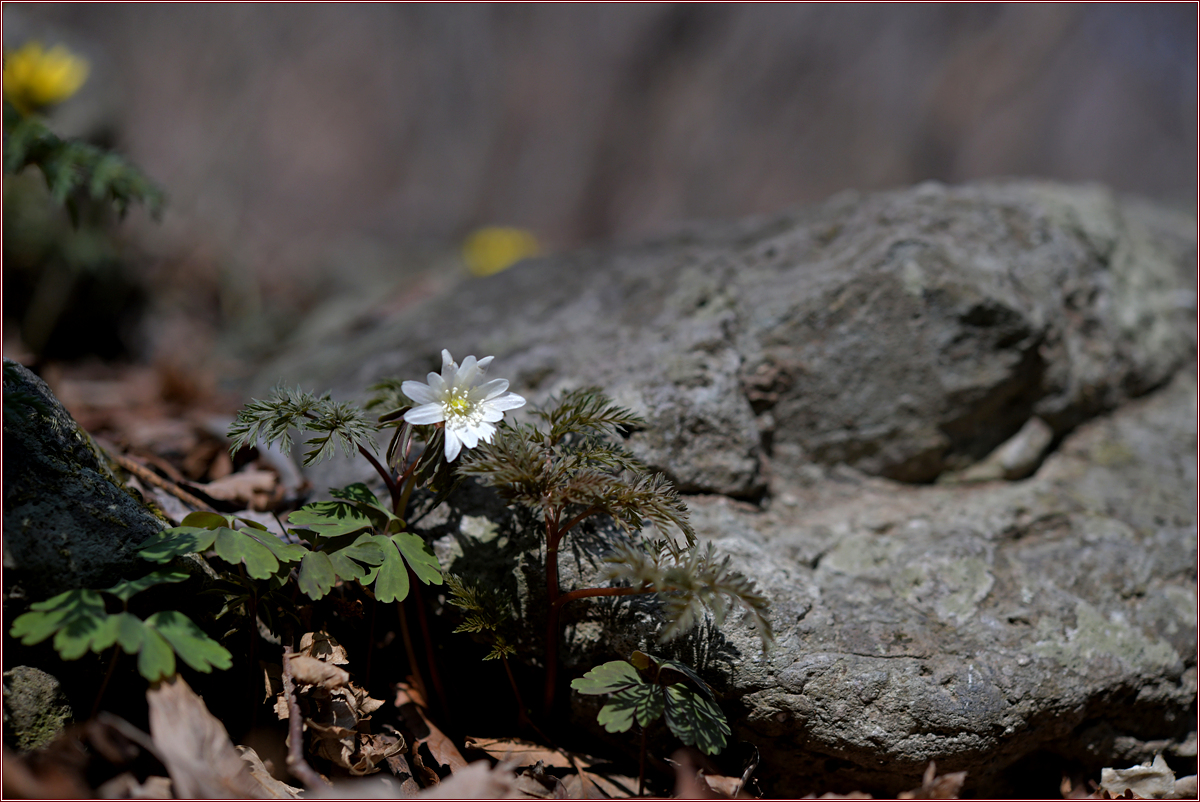 DSC_8822.jpg