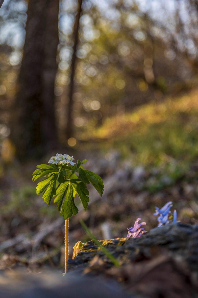 090A9540.jpg