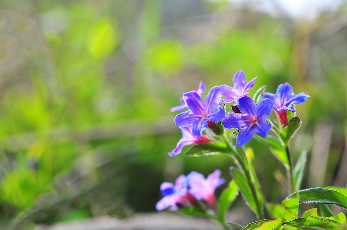 DSC_4884s.jpg