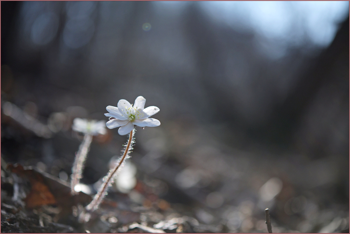 DSC_8942.jpg