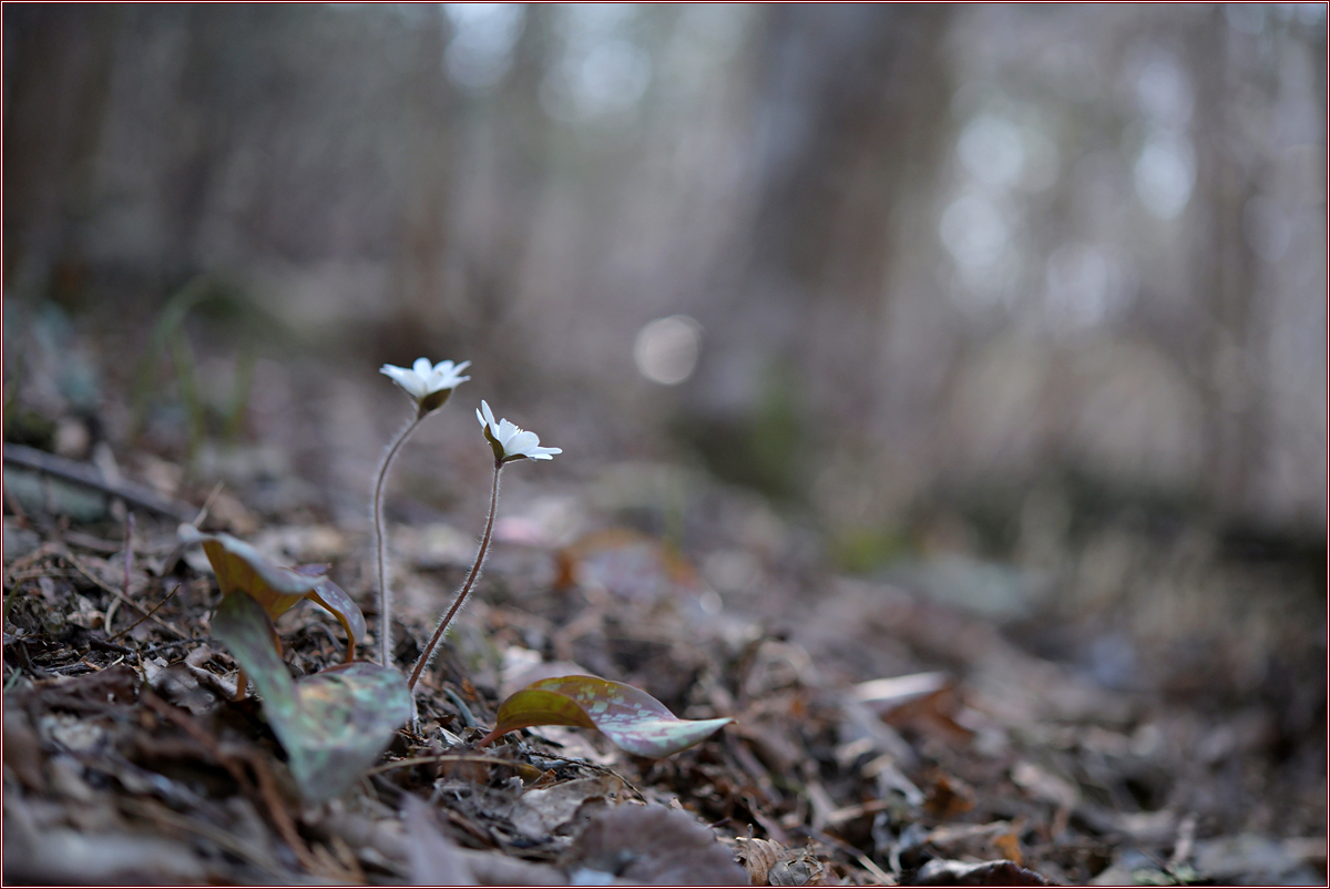 DSC_8940.jpg