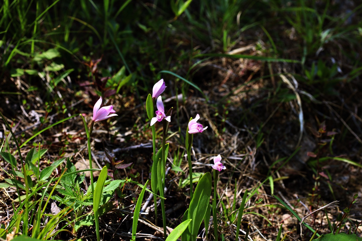 21-05-22 (122)-1.JPG