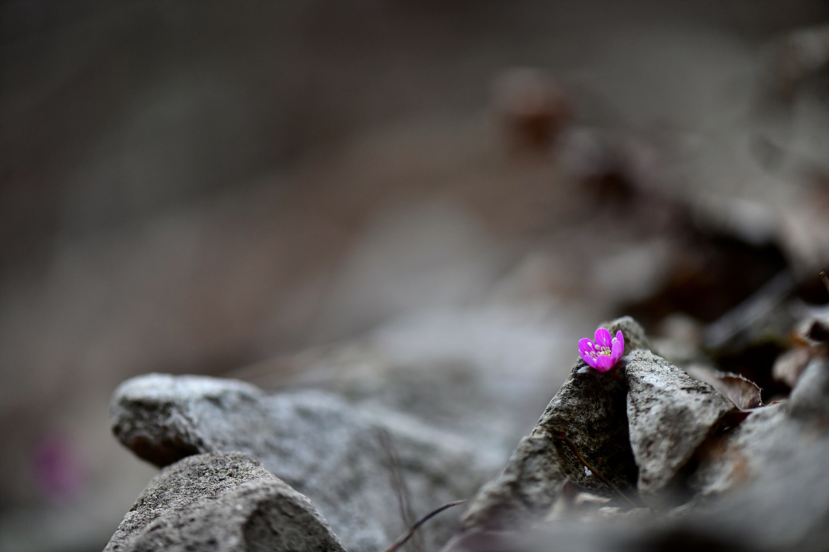_DSC0069a.jpg