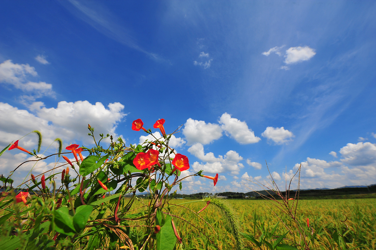 DSC_6943a.jpg