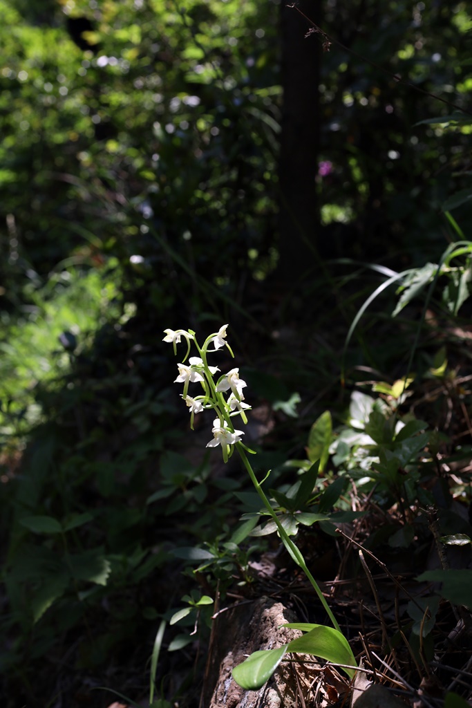 21-05-22 (143)-1.JPG