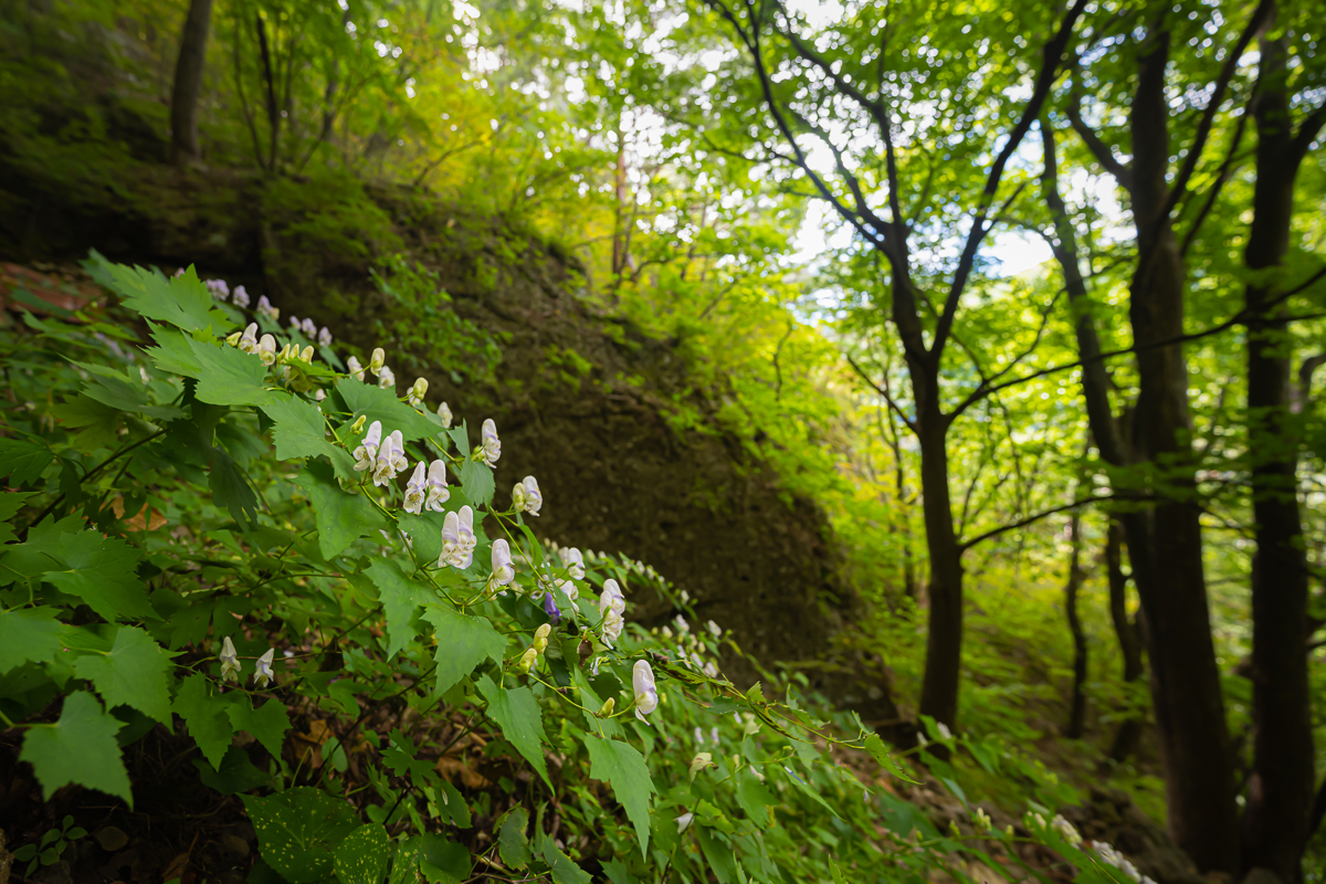 DSC_1912.jpg