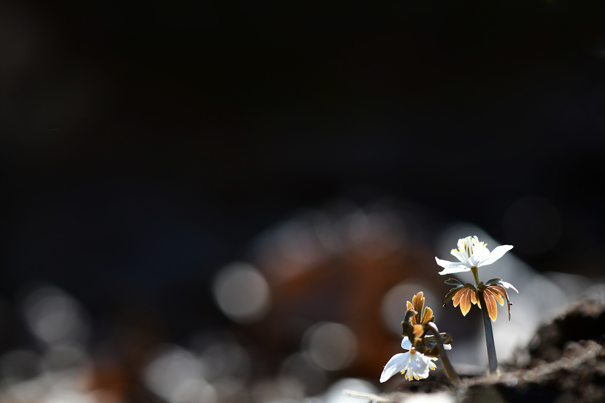 DSC_2825sss.jpg