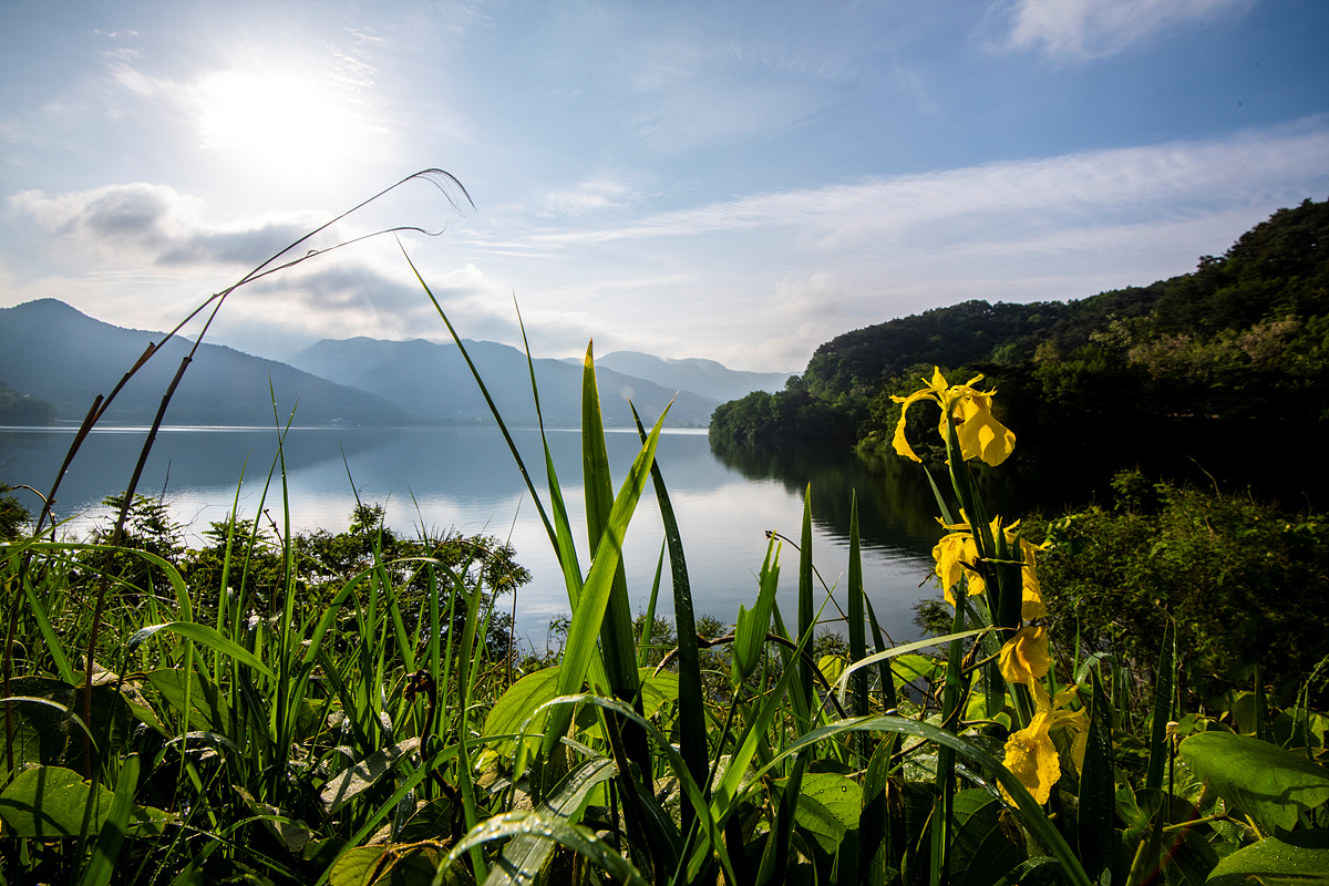_DSC6422a.jpg