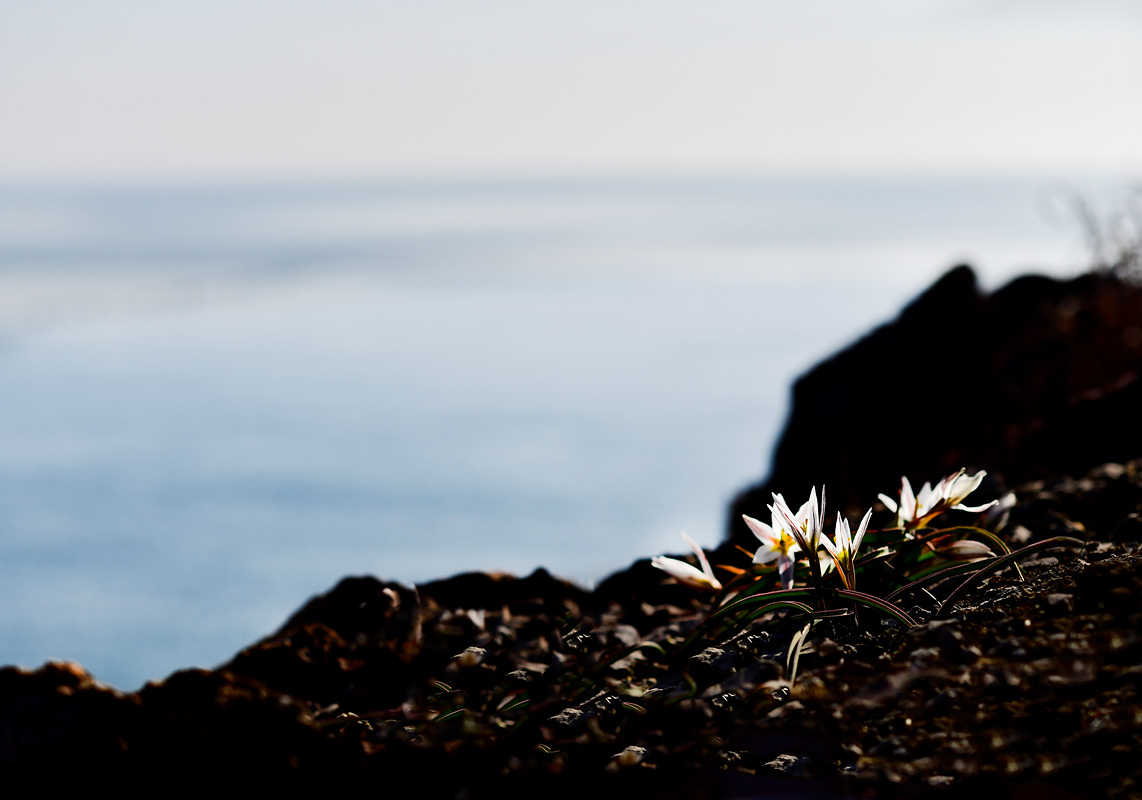 _DSC9336sss.jpg