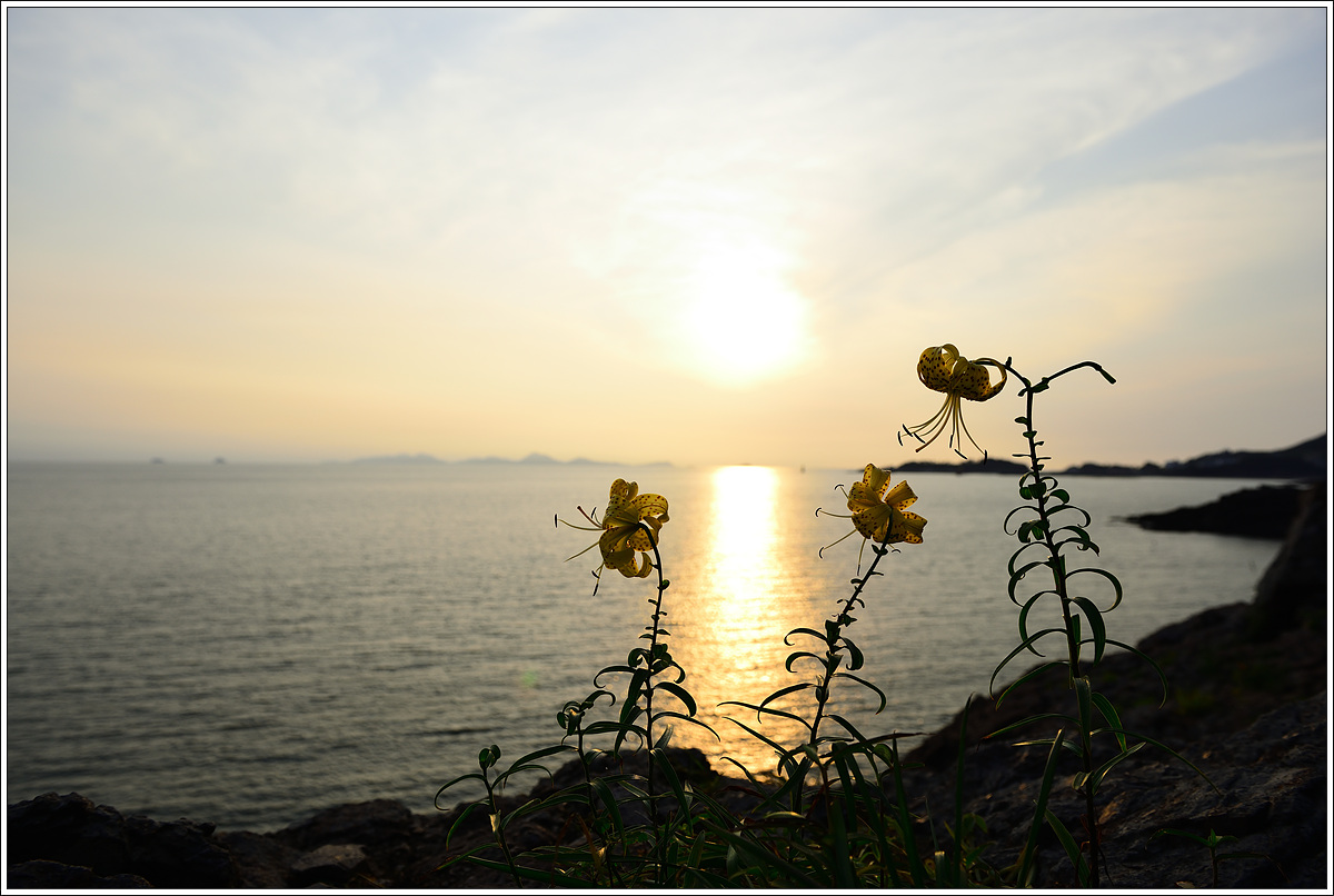 CJH_3641 완.jpg