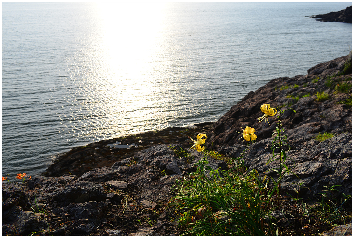 CJH_3560 완.jpg
