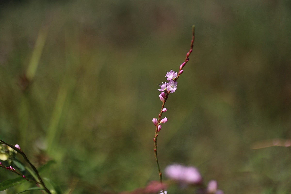 24-09-08 (185)-1.JPG