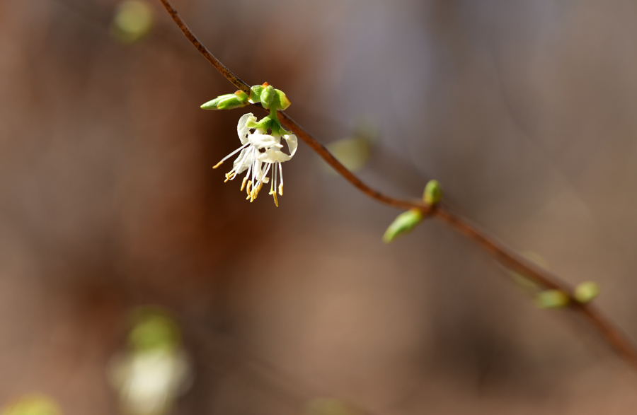 DSC_6416-1.jpg